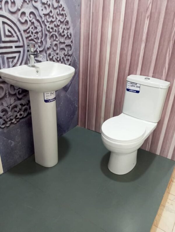 Toilet and Sink 100